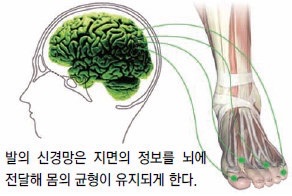 에스엔씨피지컬센터 이미지