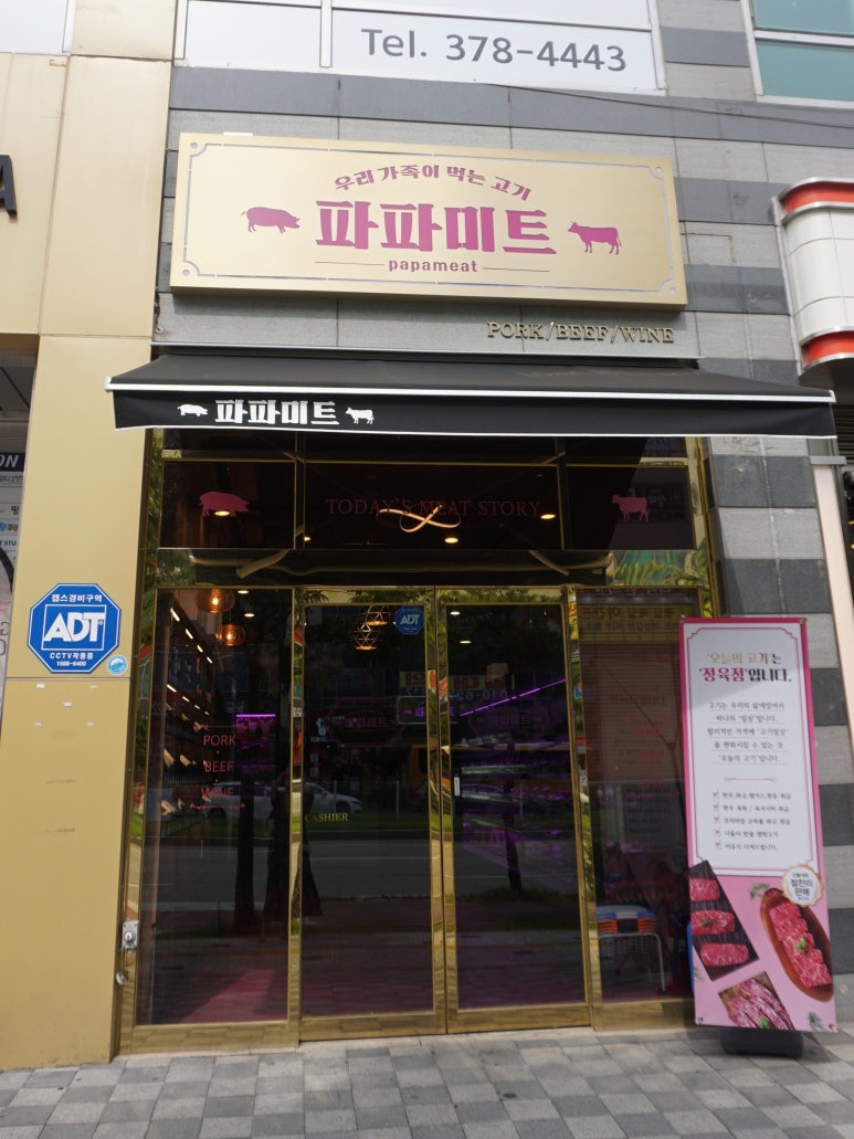 파파미트 이미지