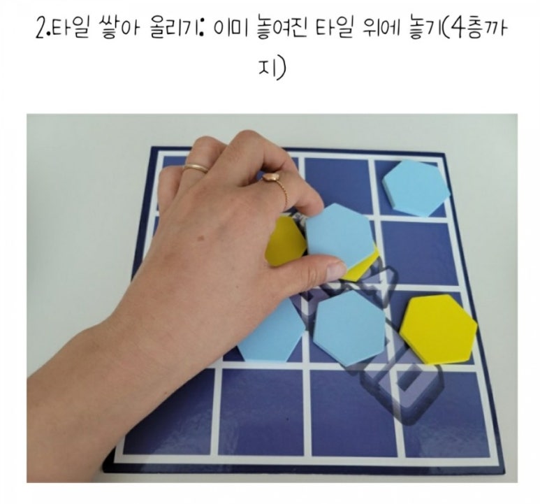 호호트리 이미지