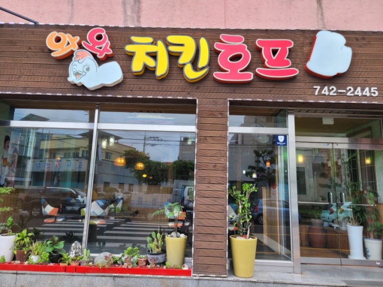 와와호프 이미지
