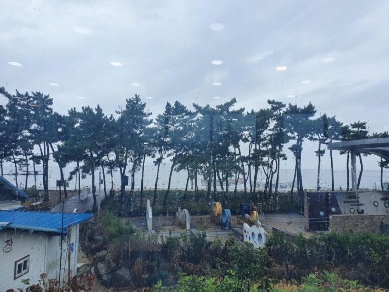 샹스커피 이미지