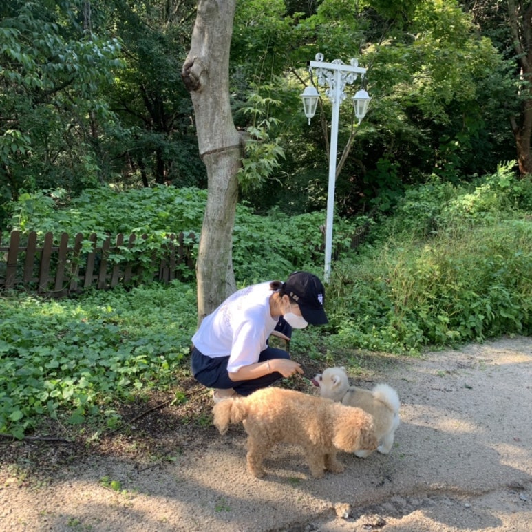 카페쌀롱 이미지