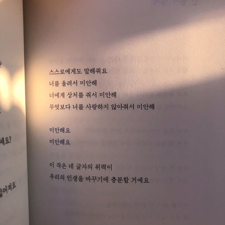 더줌카페 이미지