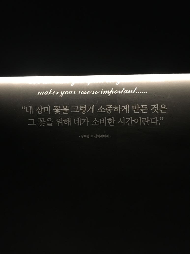 파우자 이미지