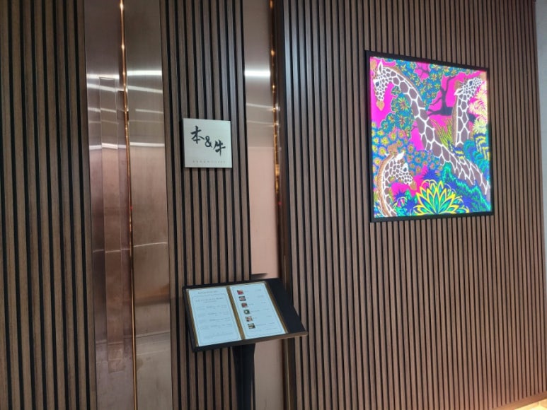 본앤우480 이미지