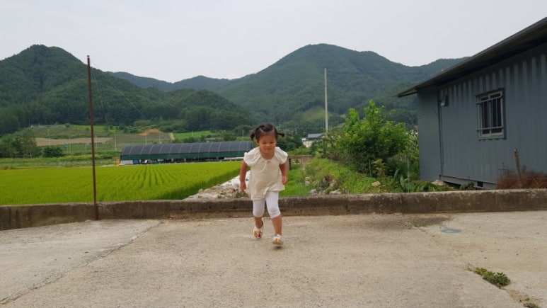 향미식당 이미지