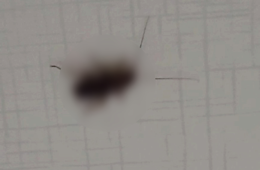 싹잡아방역 이미지