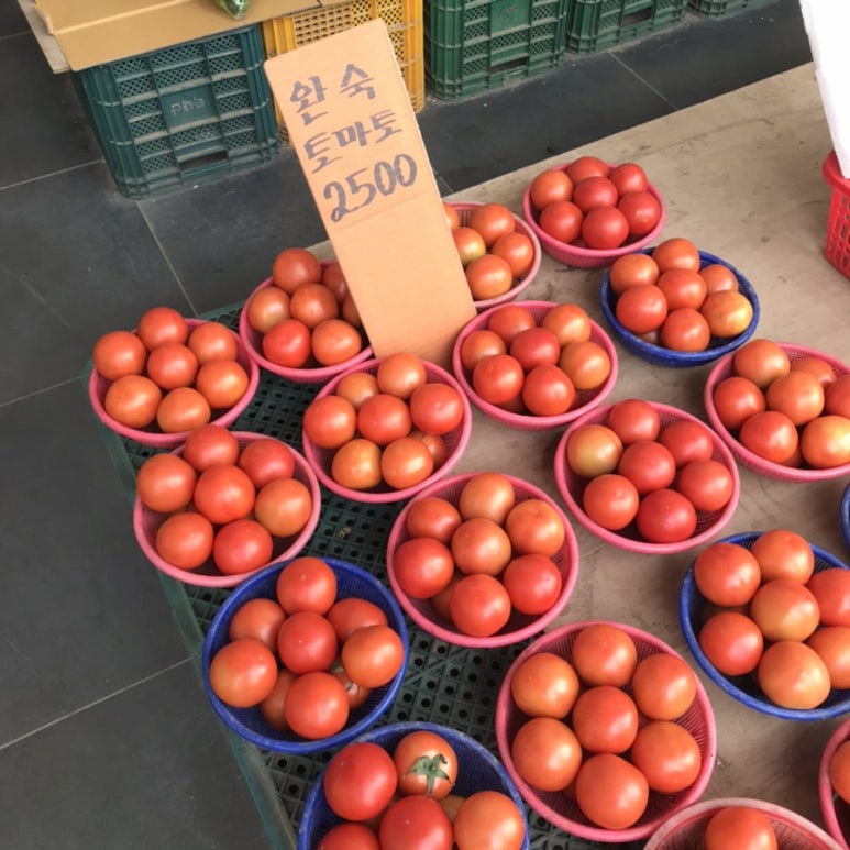 청춘청과 이미지