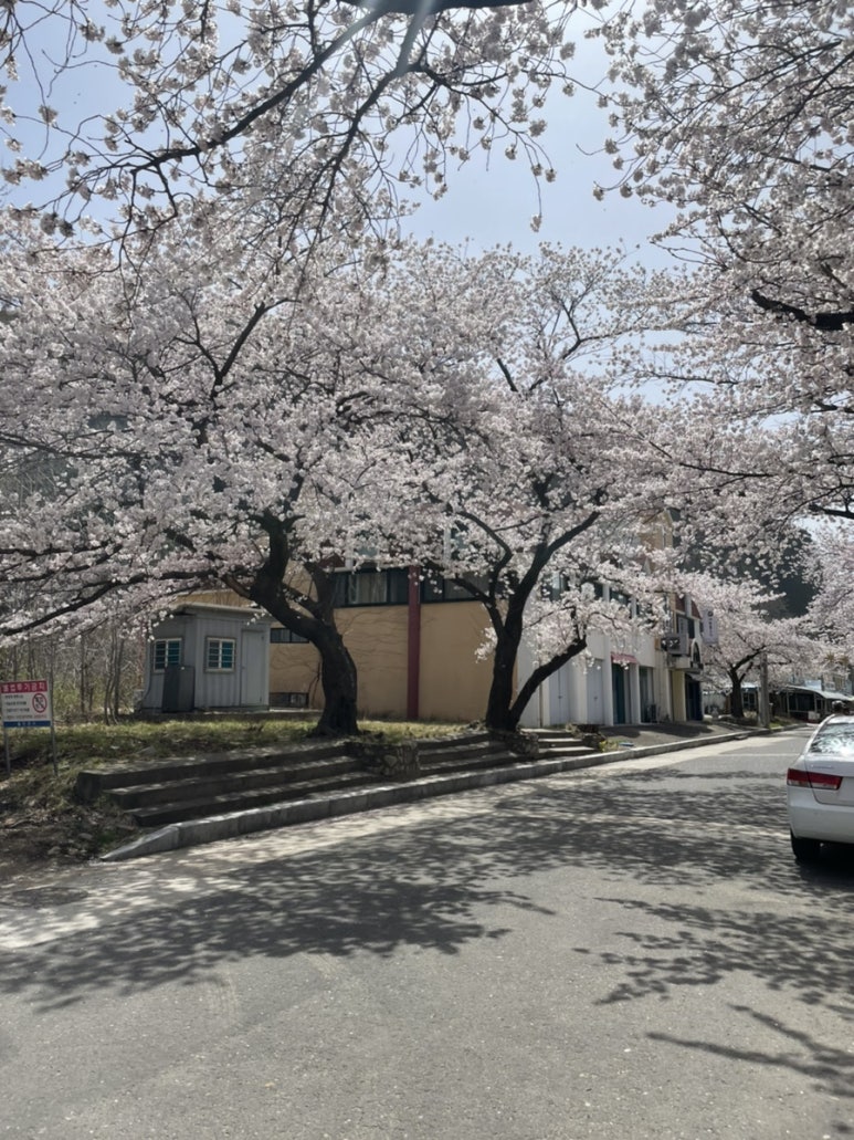 성류길빵 이미지