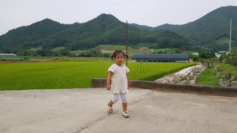 향미식당 이미지