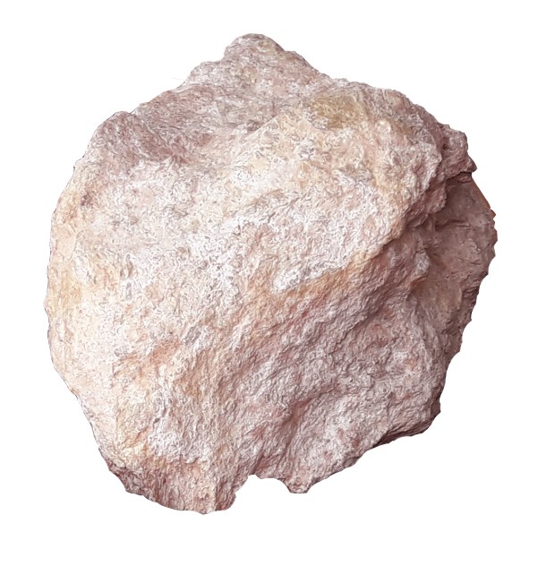 수목토일라이트 이미지