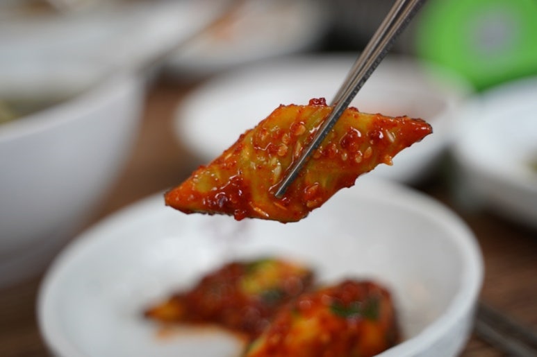 제주돠 이미지