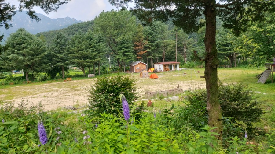 도자기체험학교 이미지