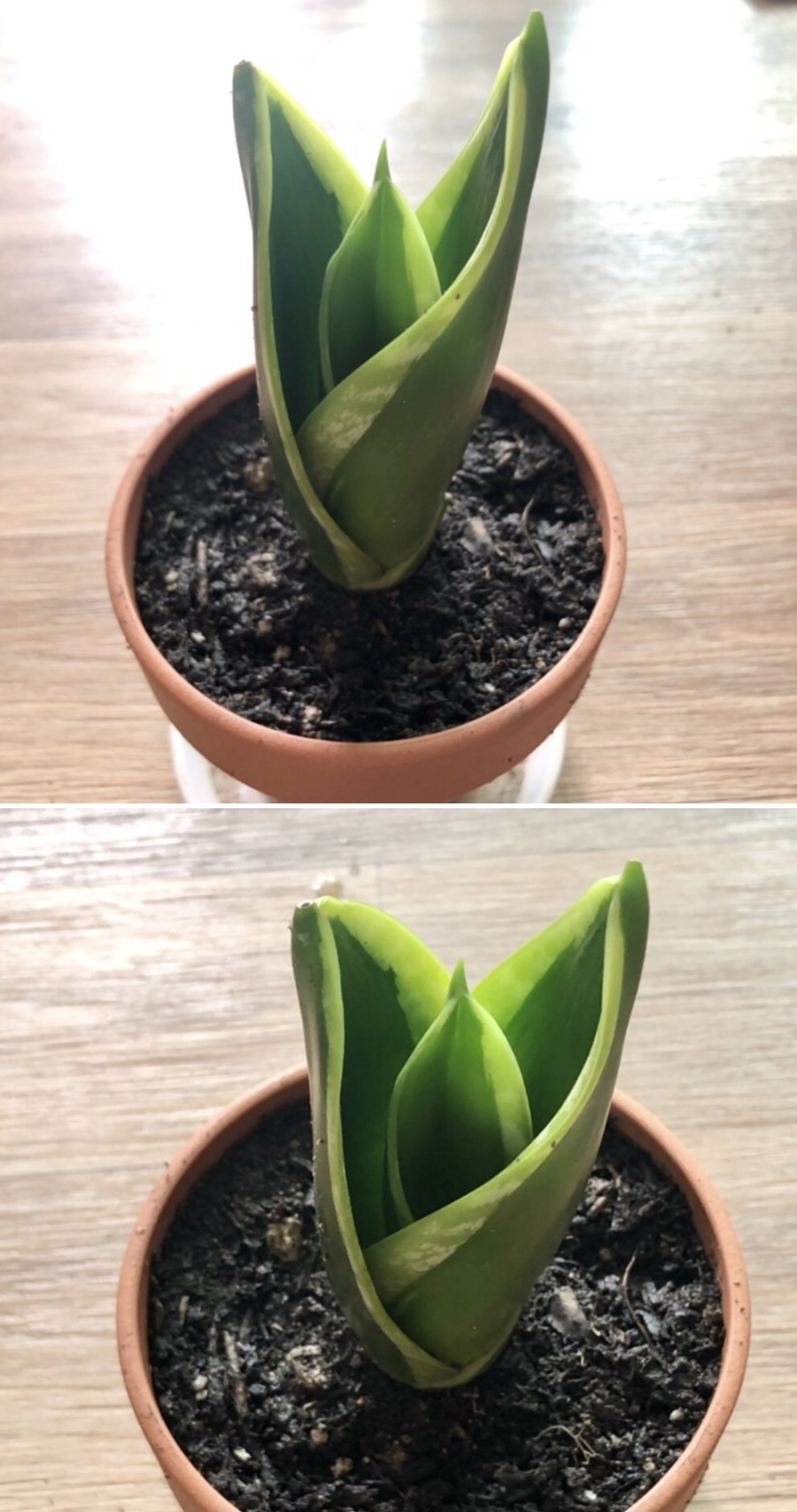새순슈퍼 이미지