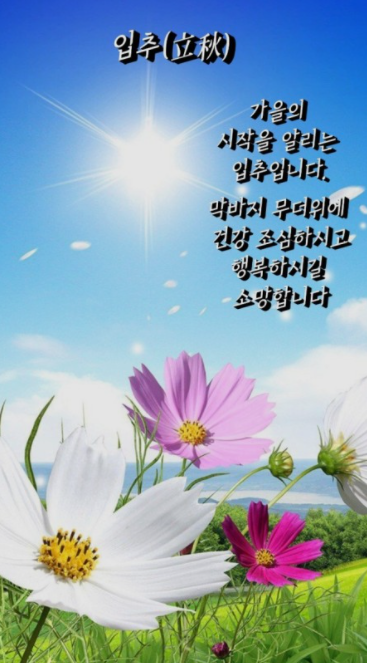 오일크루 이미지