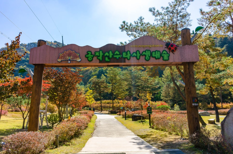 강변바이크 이미지