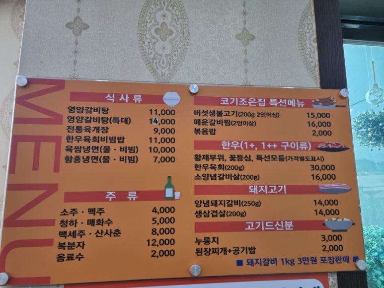 코기조은집 이미지