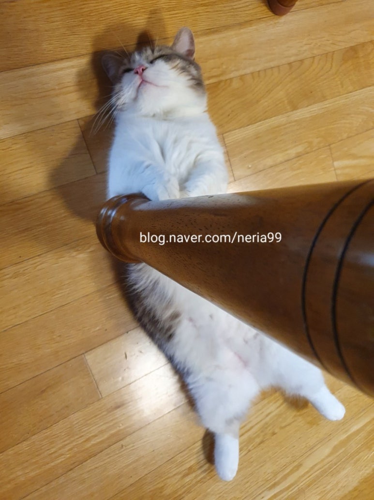 오수봉투 이미지
