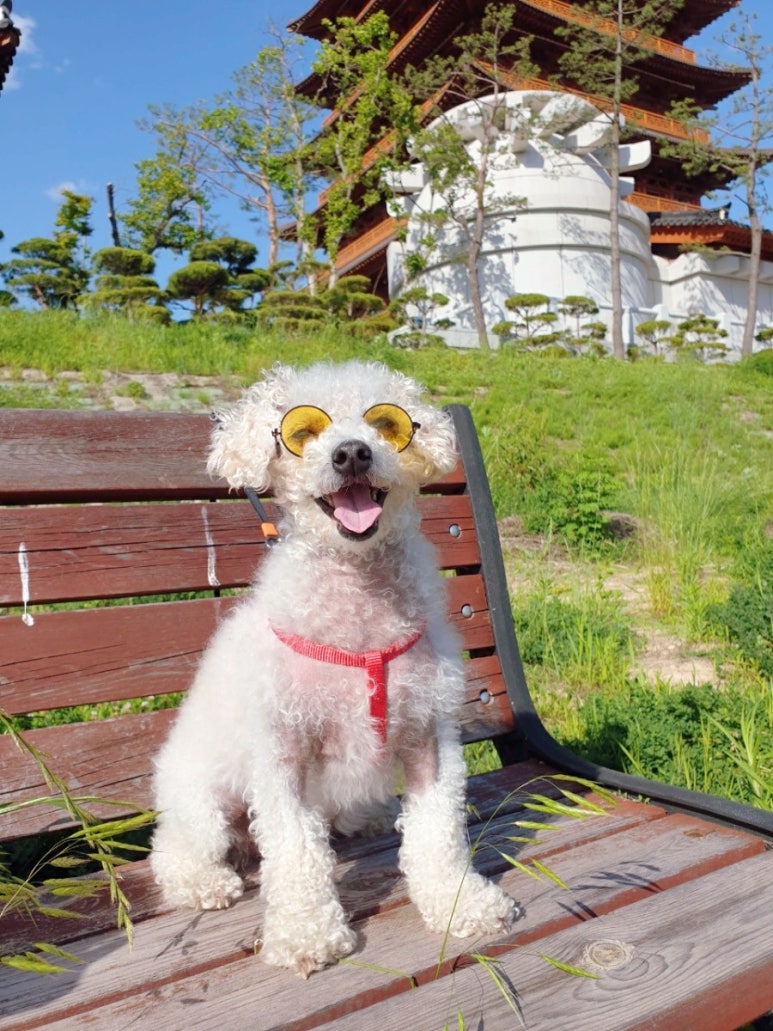 라라상점 이미지