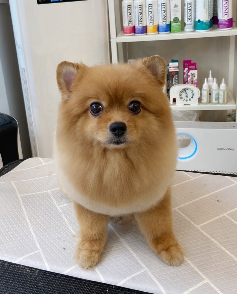 미용천재 이미지