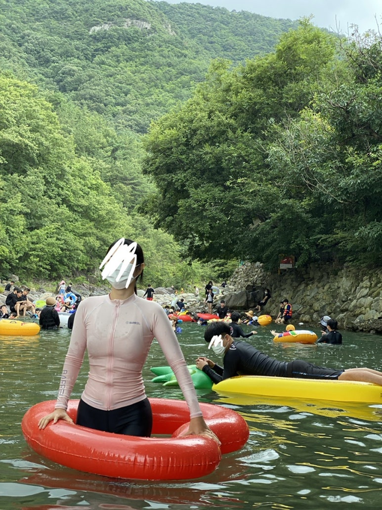 부림방역 이미지