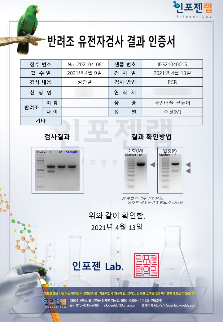 인포젠 이미지