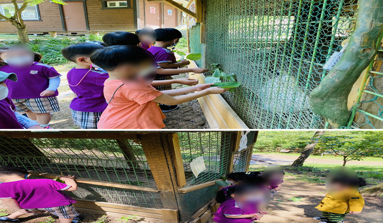 웅포 곰돌이 유아숲체험원 이미지