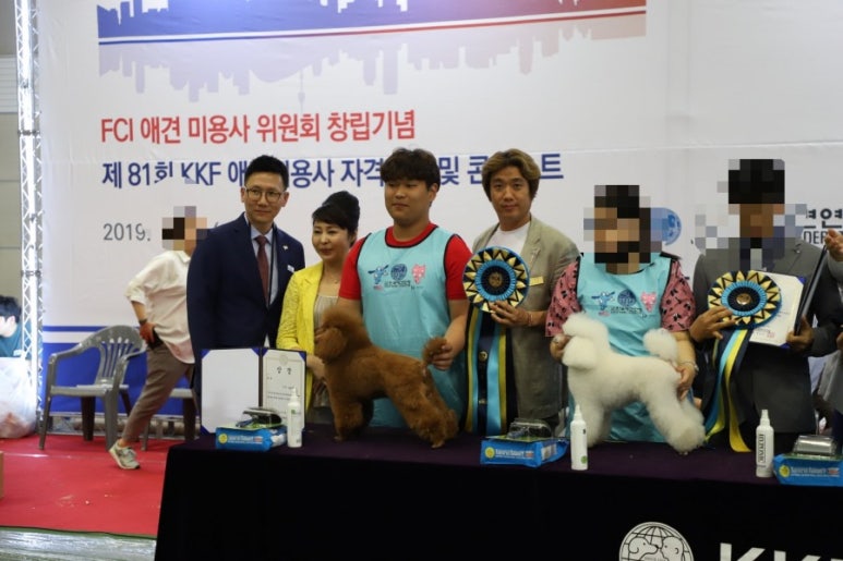 바닐라애견미용학원 이미지