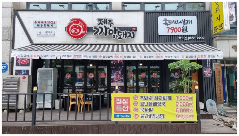 제주까망돼지 이미지