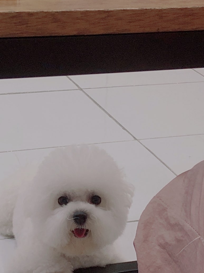 초원샵 이미지