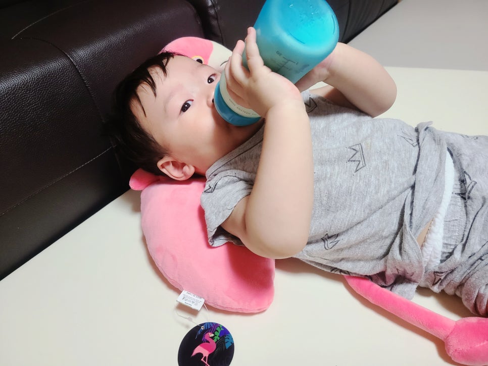 플리밍고 이미지