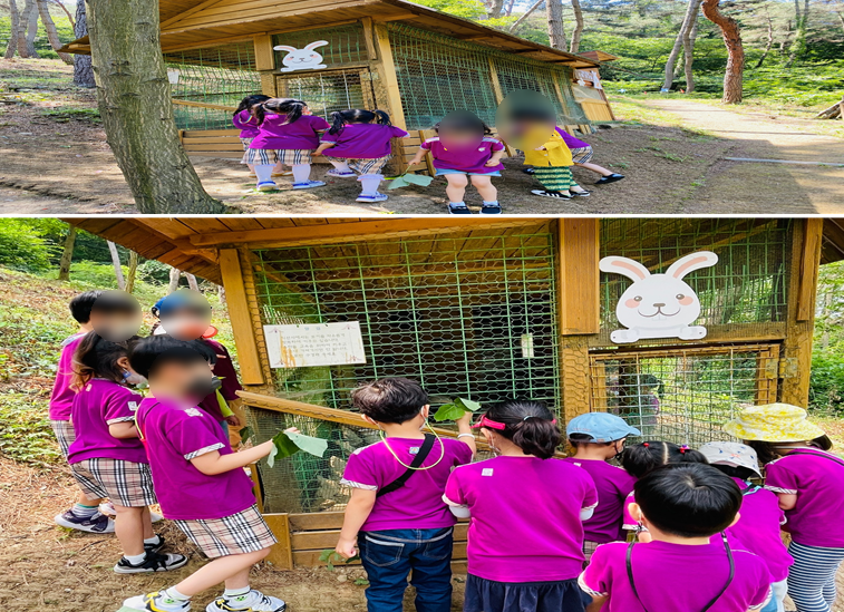 웅포 곰돌이 유아숲체험원 이미지