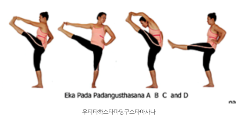 구스타 이미지