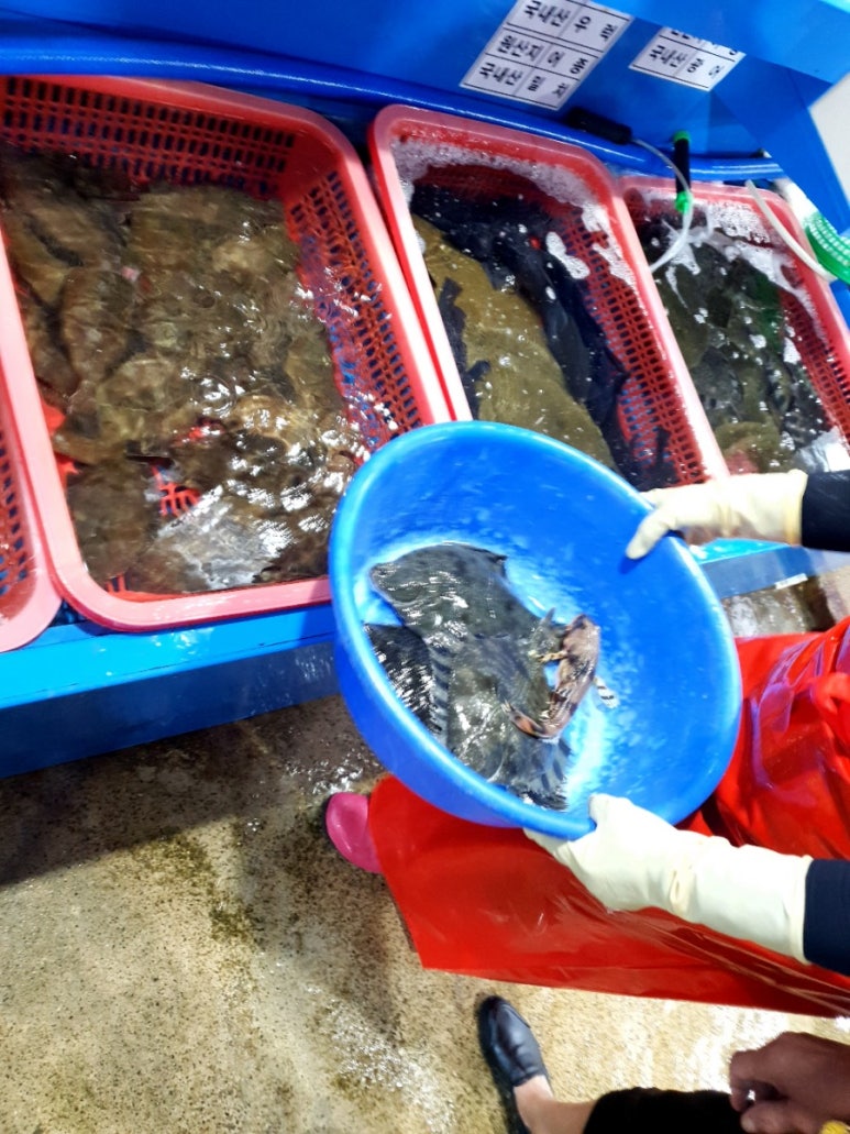 서남손칼국수 이미지