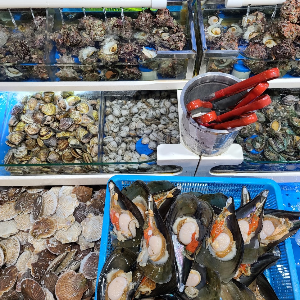 일산수산물시장 이미지