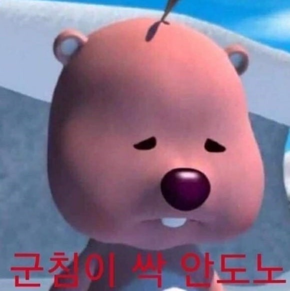 플레이애니멀 이미지