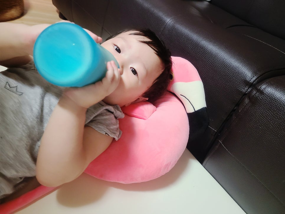 플리밍고 이미지