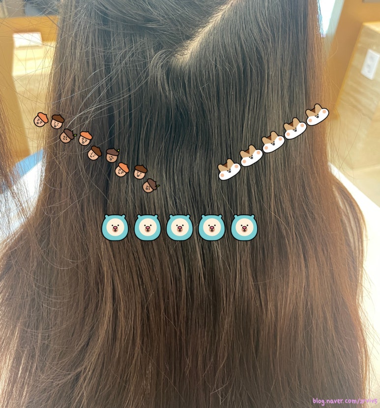 니르헤어 이미지