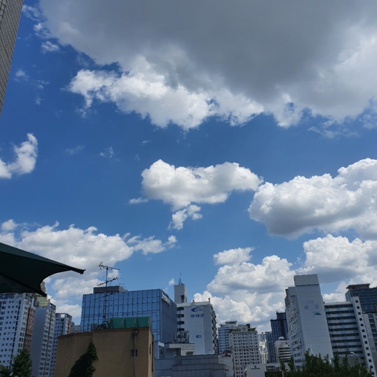 연세제일정형외과의원 이미지