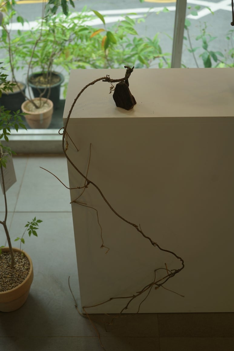 사사막 이미지