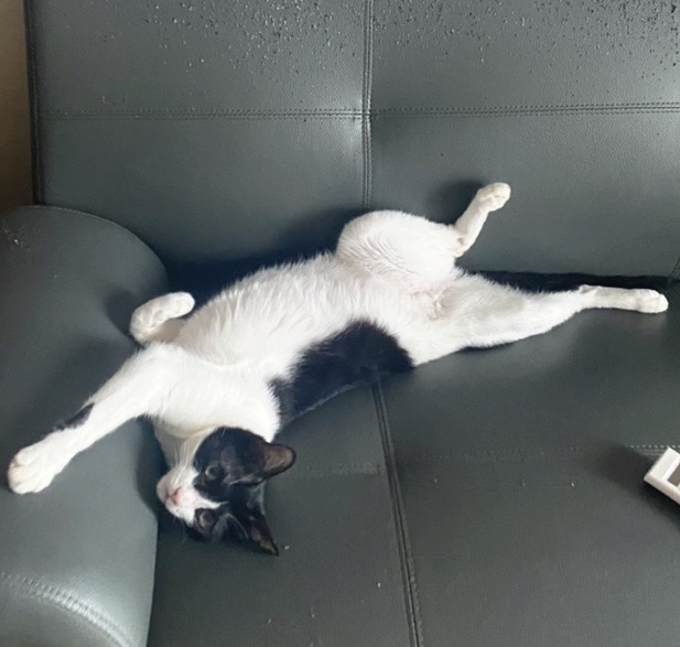 하랑참치 이미지