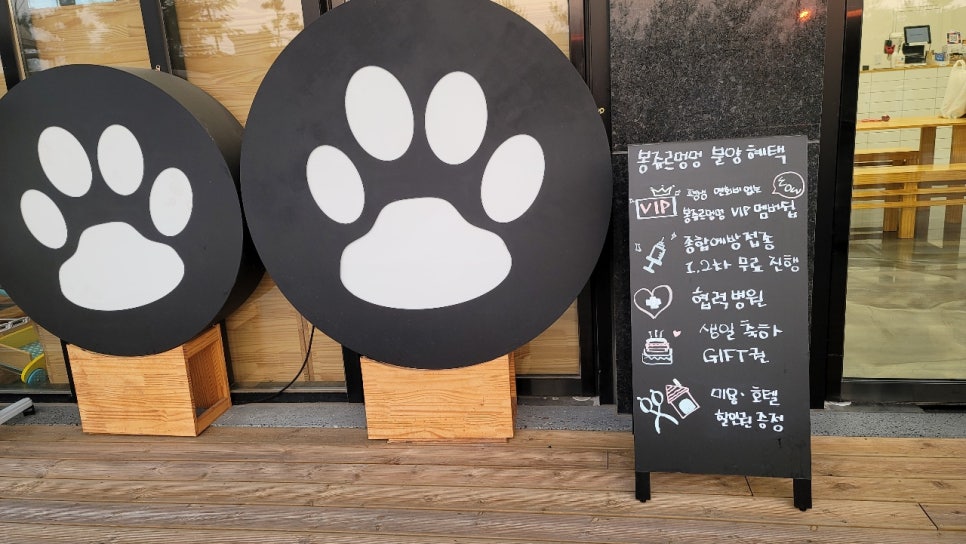 봉쥬르멍멍 이미지