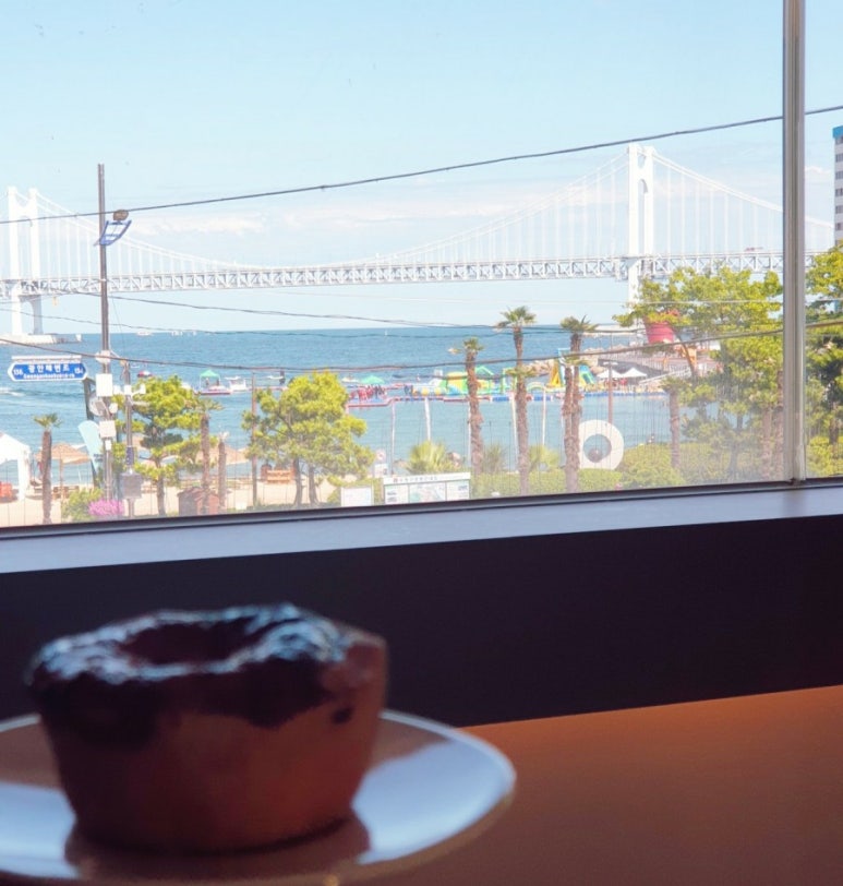 대교미트 이미지