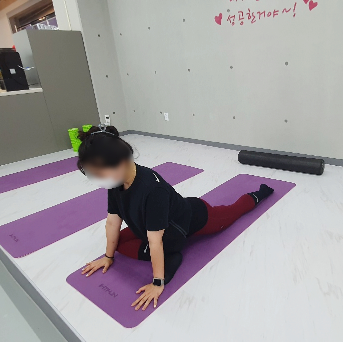 더디짐 이미지