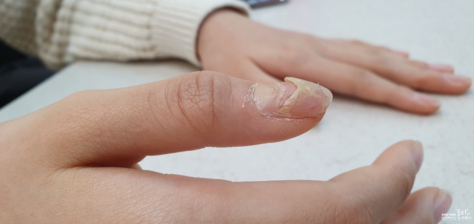 요기요기샵 이미지