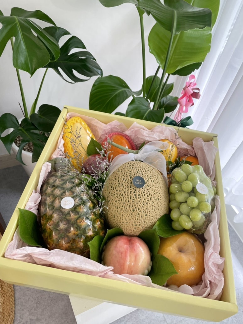 메이팜스 이미지