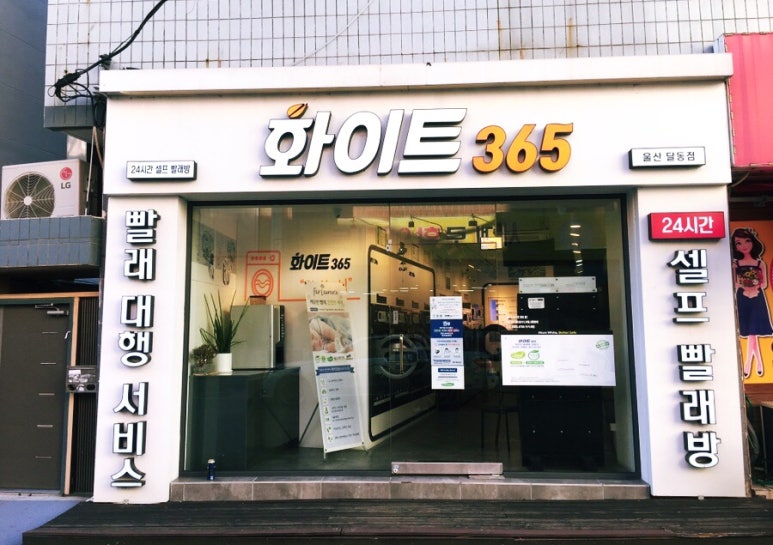 화이트365울산 이미지