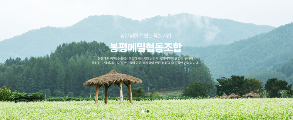 봉평고원메밀 이미지