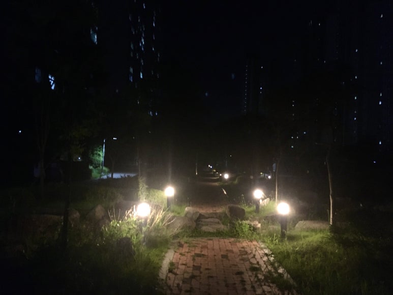 대박칼국수족발 이미지