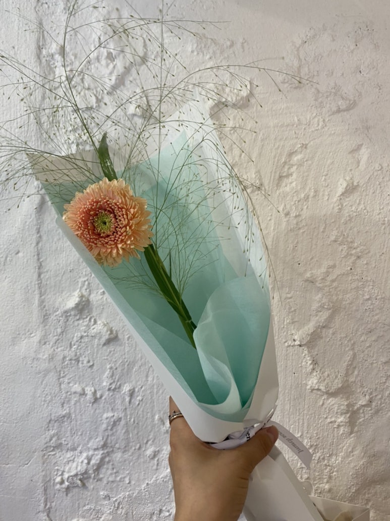 제이마치아뜰리에 이미지
